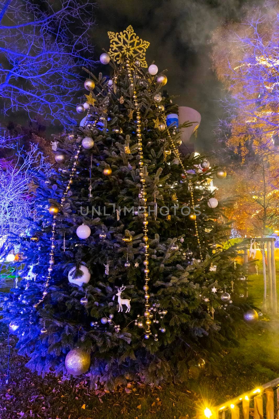 Christmas tree in Vienna, Austria by phbcz