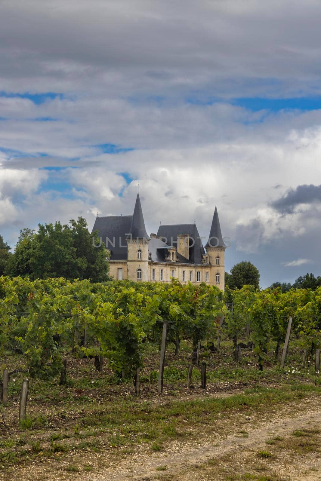 Chateau Pichon Longueville Baron, Medoc, France