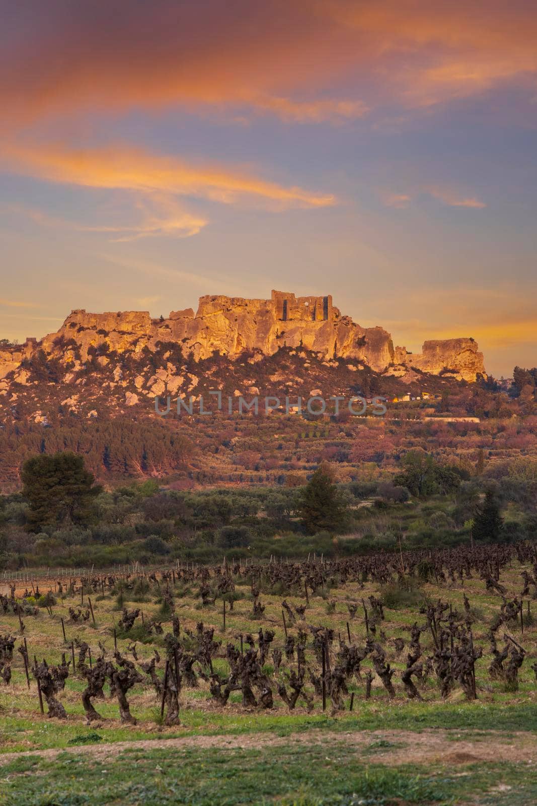 Medieval castle and village, Les Baux-de-Provence, Alpilles mountains, Provence, France by phbcz