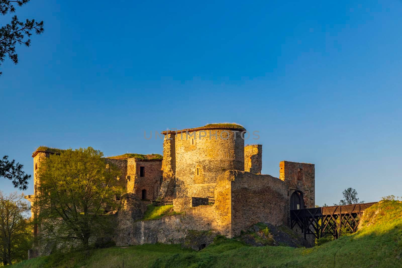 Ruins of Krakovec castle in Central Bohemia, Czech Republic by phbcz