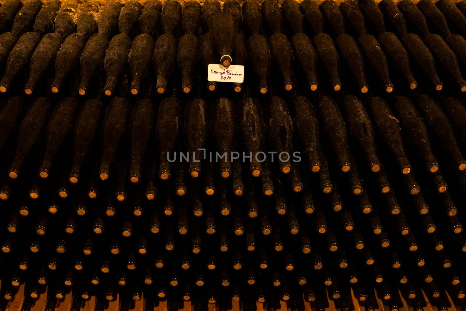 wine bottles in archive cellar, Ezerjo, Hungary