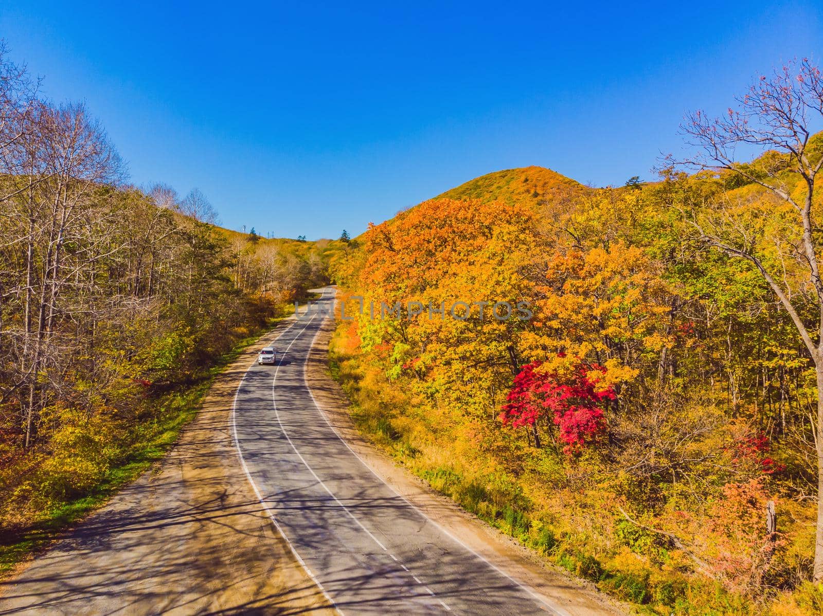 Aerial view of road in beautiful autumn forest at sunset. Beautiful landscape with empty rural road, trees with red and orange leaves. Highway through the park. Top view from flying drone. Nature.