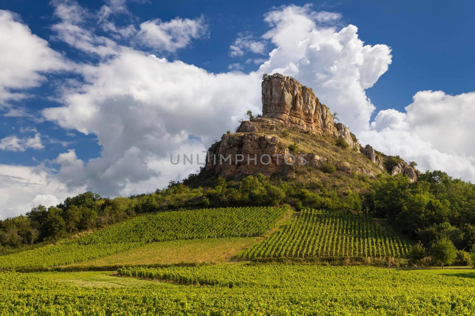 Rock of Solutre with vineyards, Burgundy, Solutre-Pouilly, France