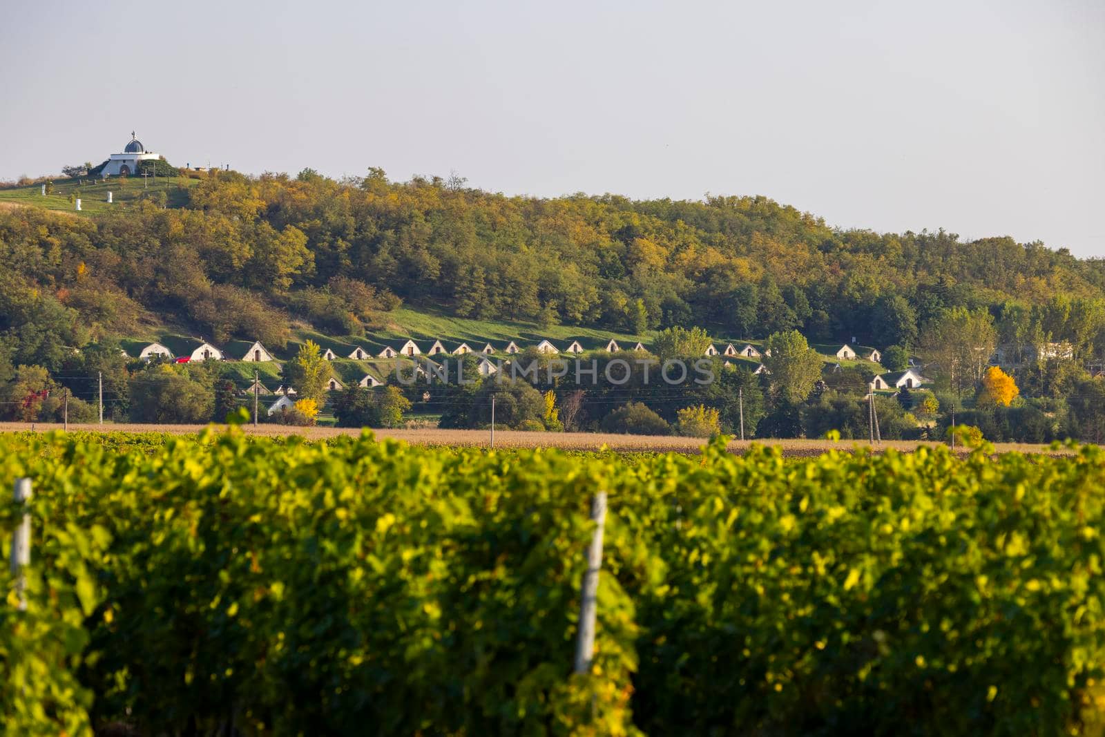 Gombos-hegyi pincesor in Hercegkut, UNESCO site, Great Plain, North Hungary