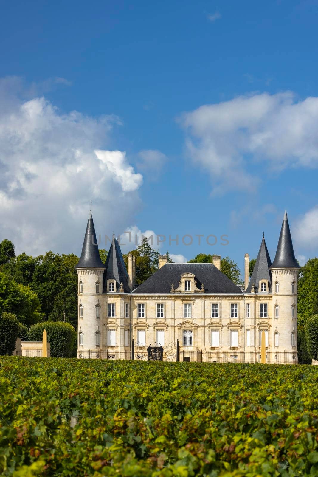 Chateau Pichon Longueville Baron, Medoc, France by phbcz