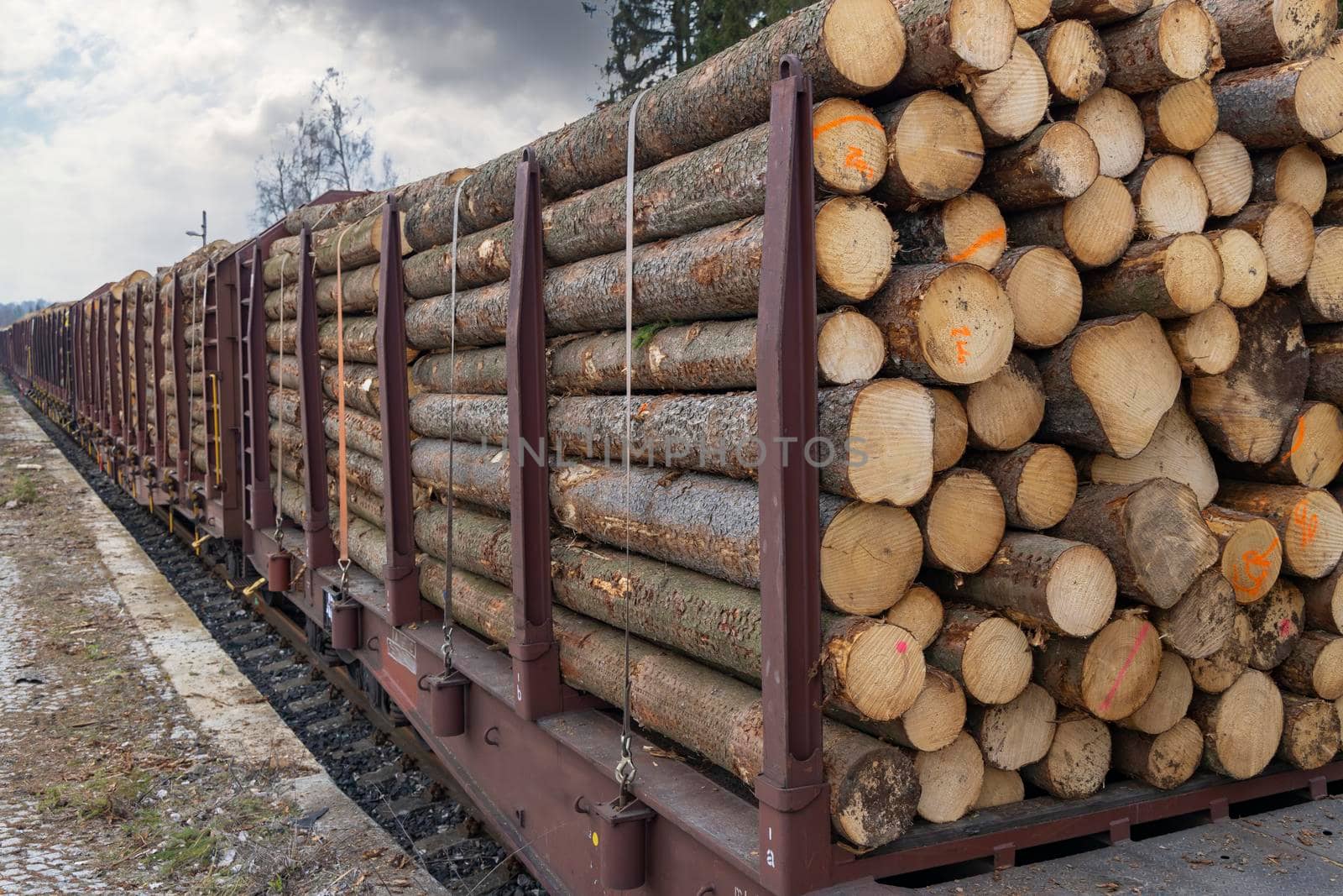 Transport of timber on railway wagons by phbcz