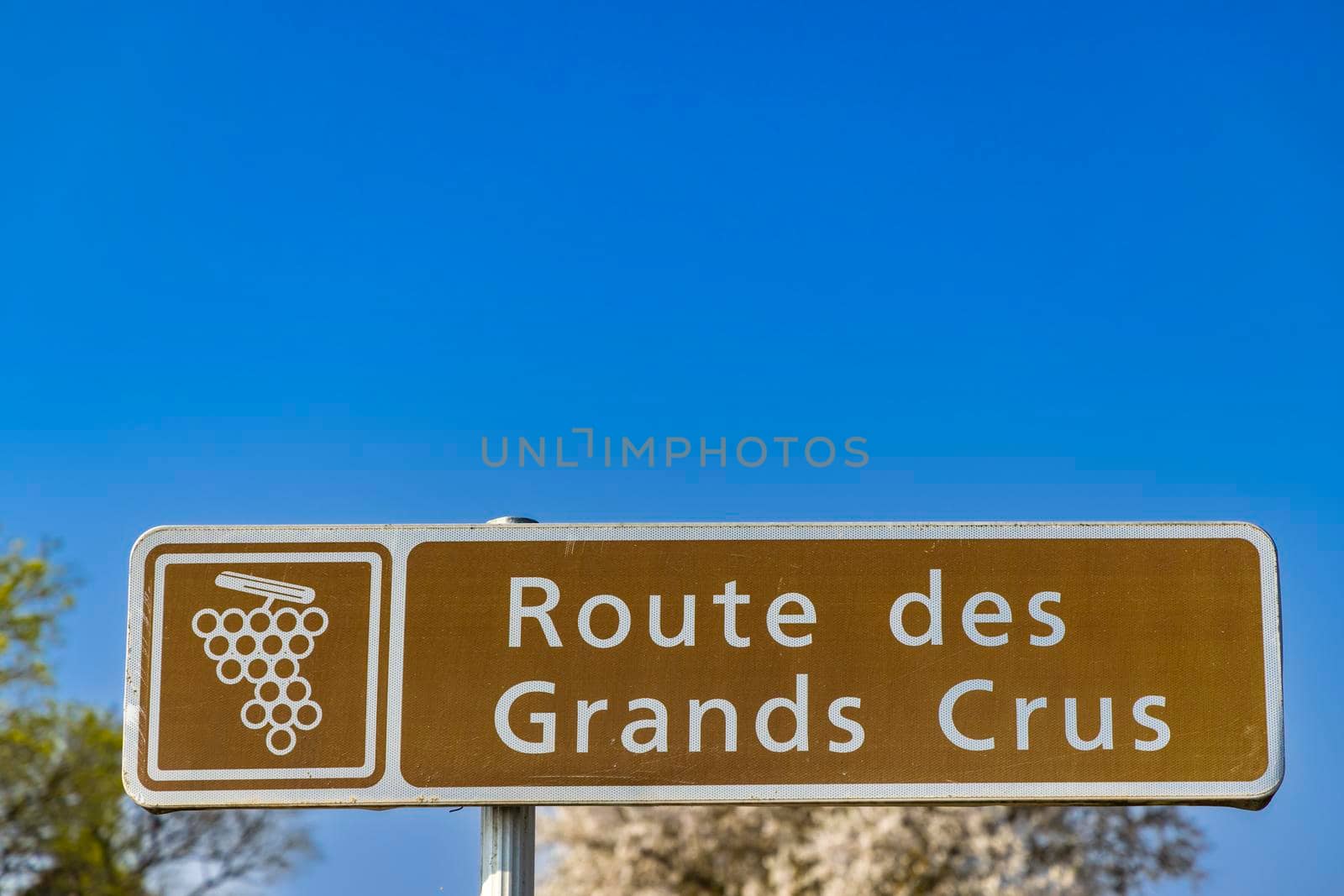 Wine road (Route des Grands Crus) near Beaune, Burgundy, France