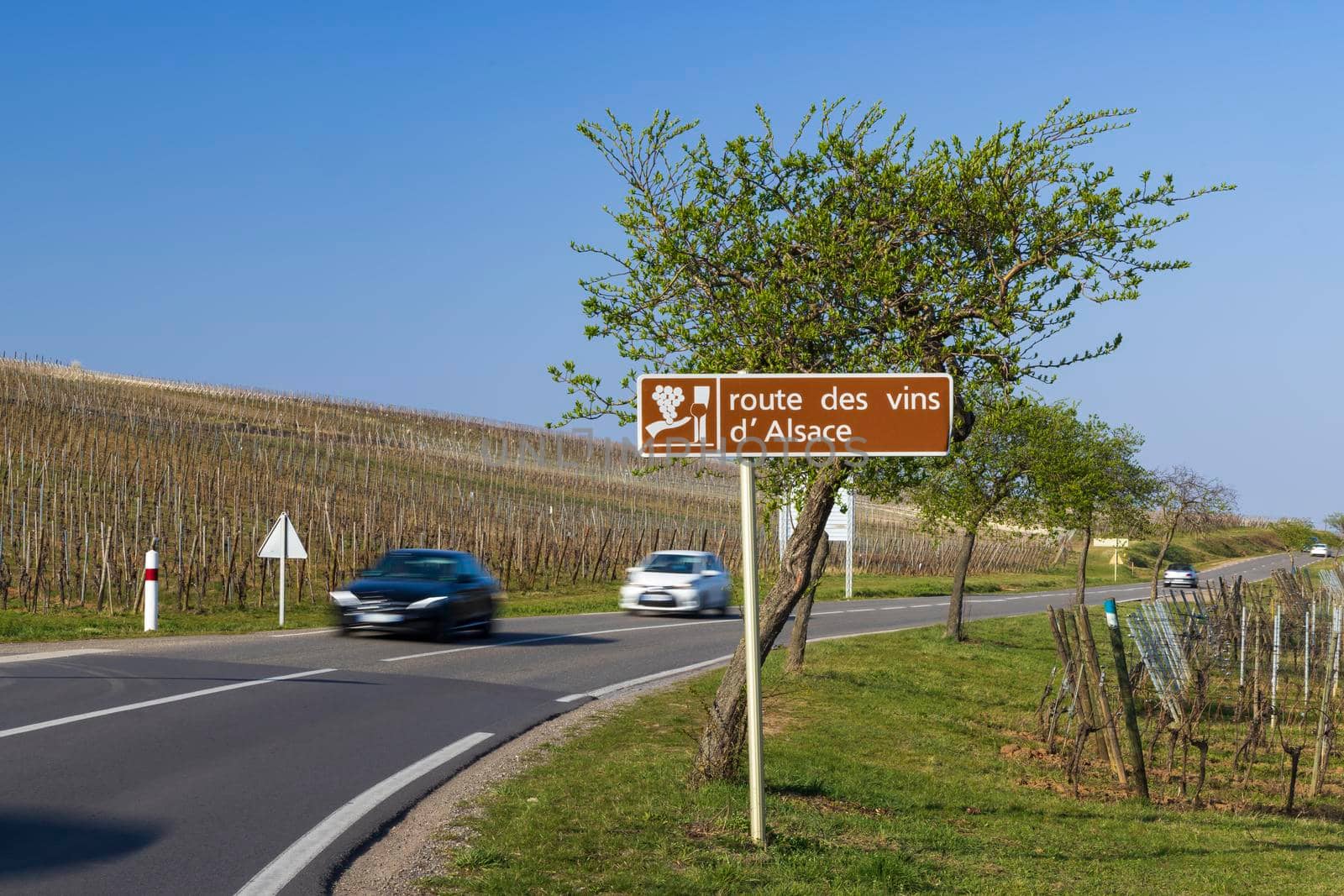 Wine road near Colmar, Alsace, France