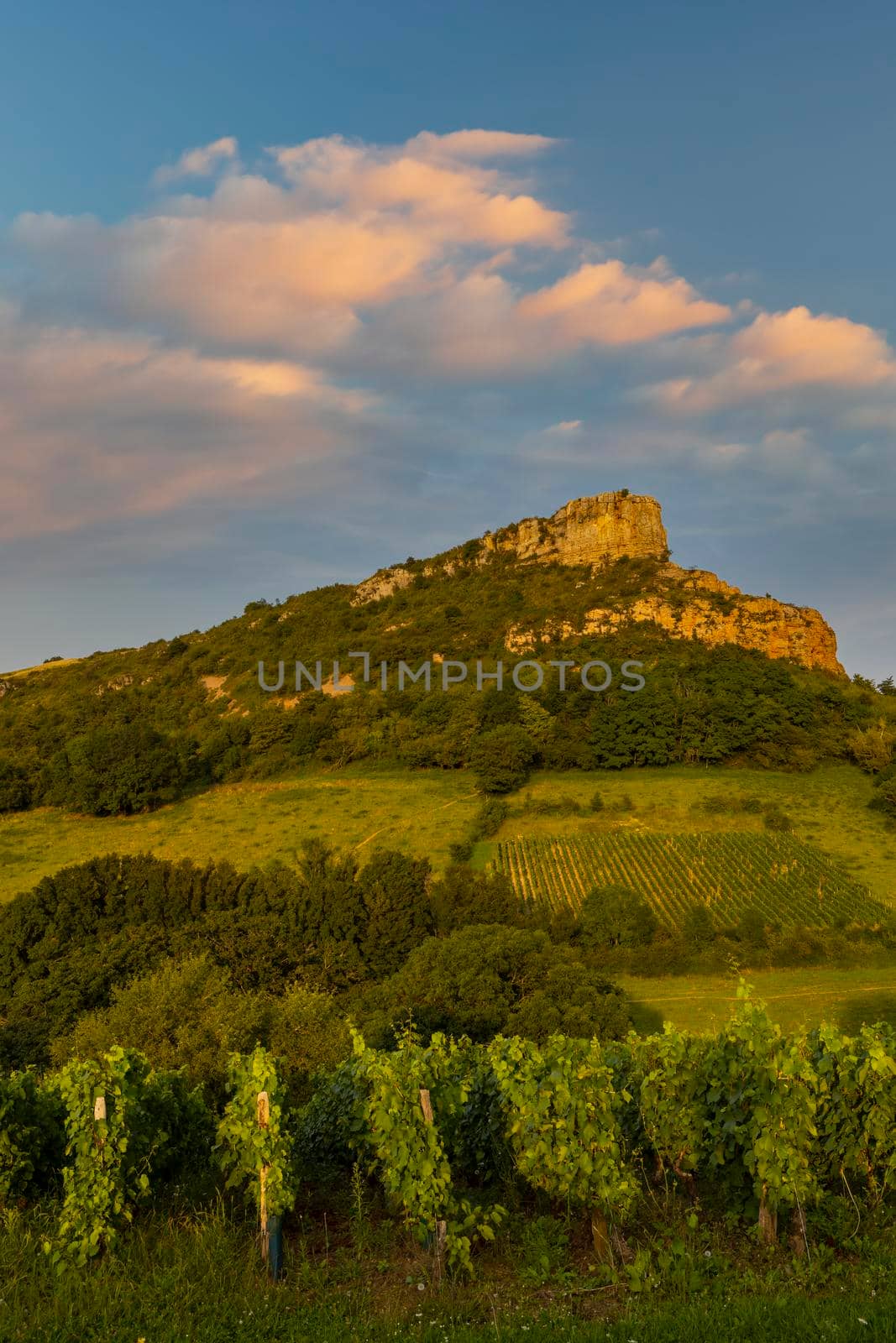 Rock of Solutre with vineyards, Burgundy, Solutre-Pouilly, France by phbcz