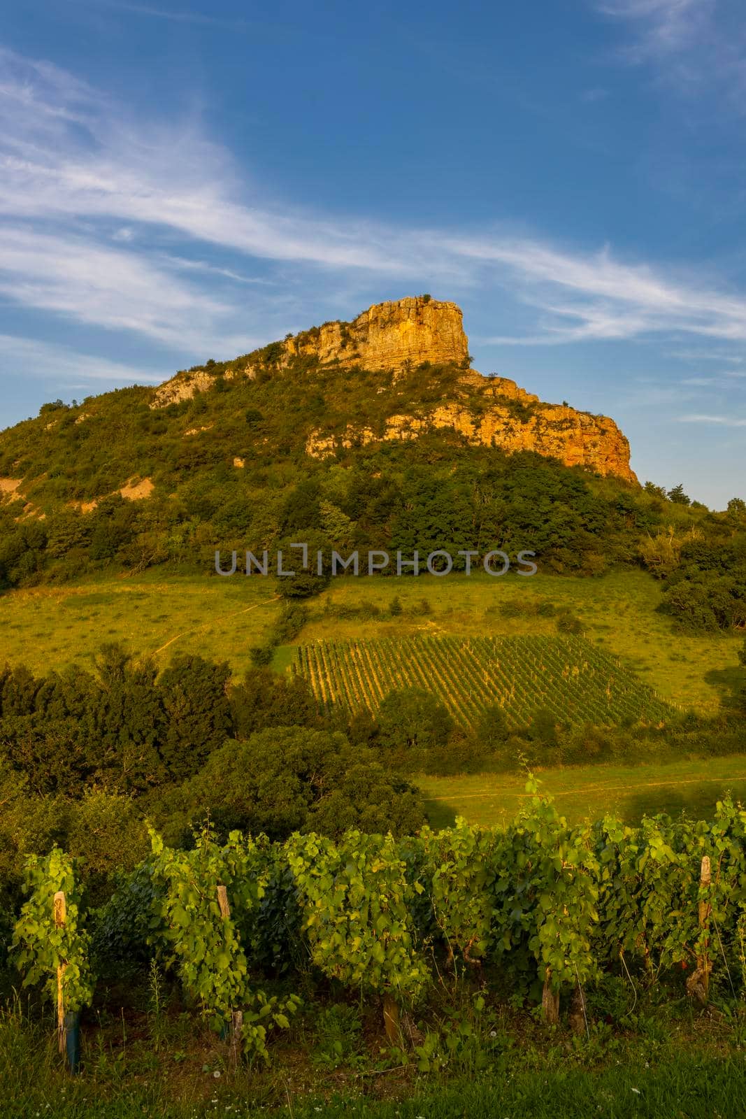 Rock of Solutre with vineyards, Burgundy, Solutre-Pouilly, France by phbcz