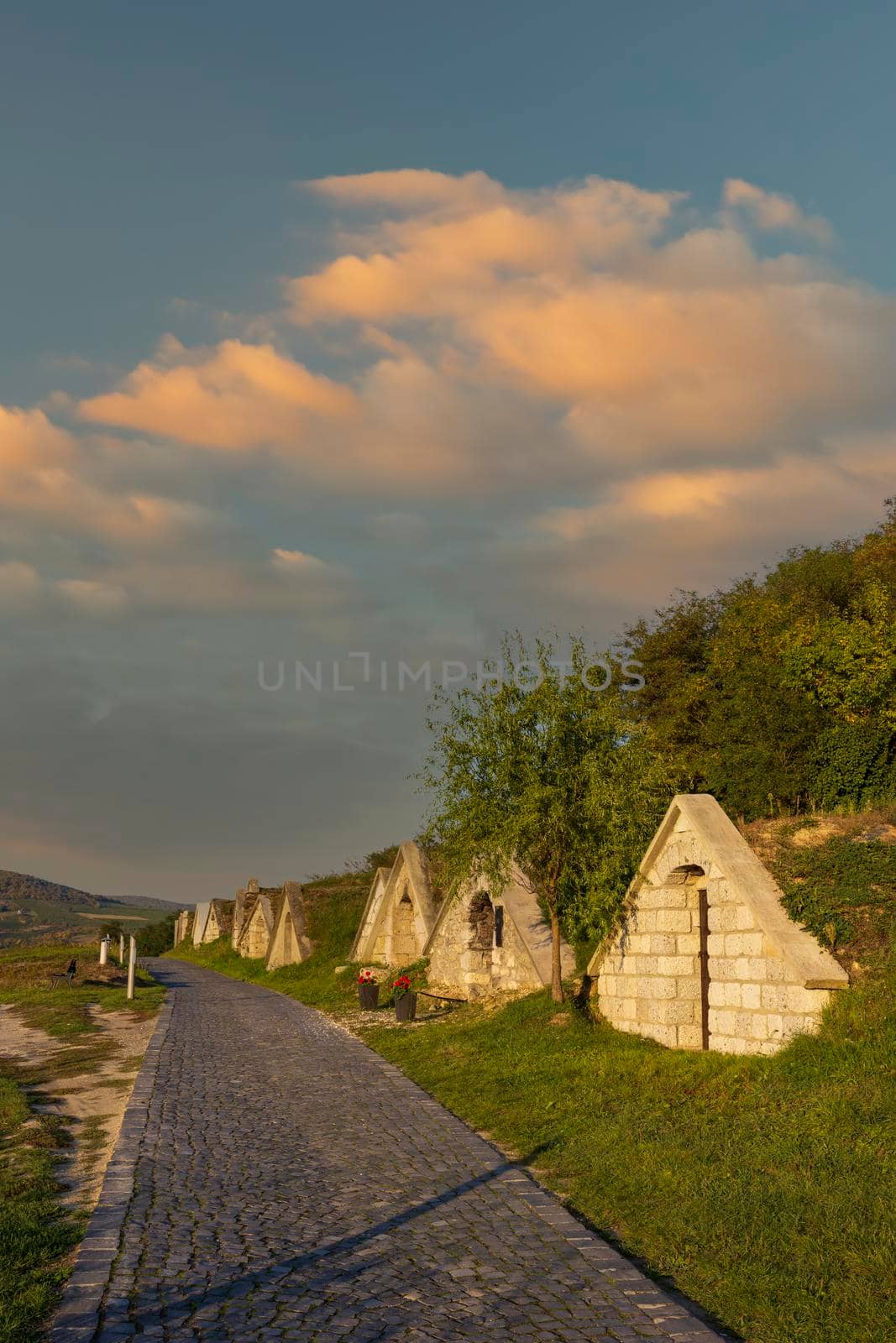 Autumnal Gombos-hegyi pincesor in Hercegkut, UNESCO site, Great Plain, North Hungary by phbcz