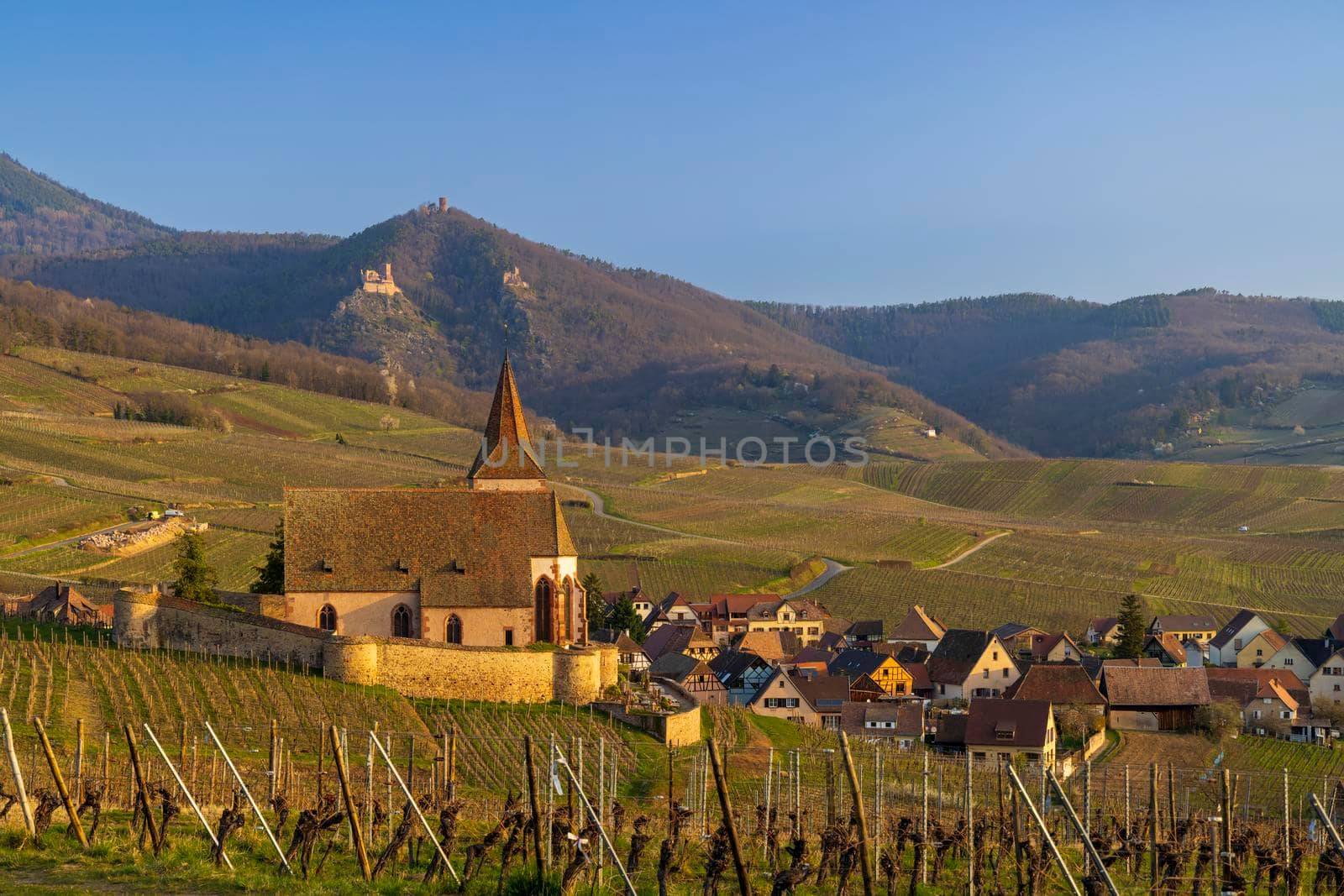 Hunawihr village with castle ruins near Ribeauville, Alsace, France by phbcz