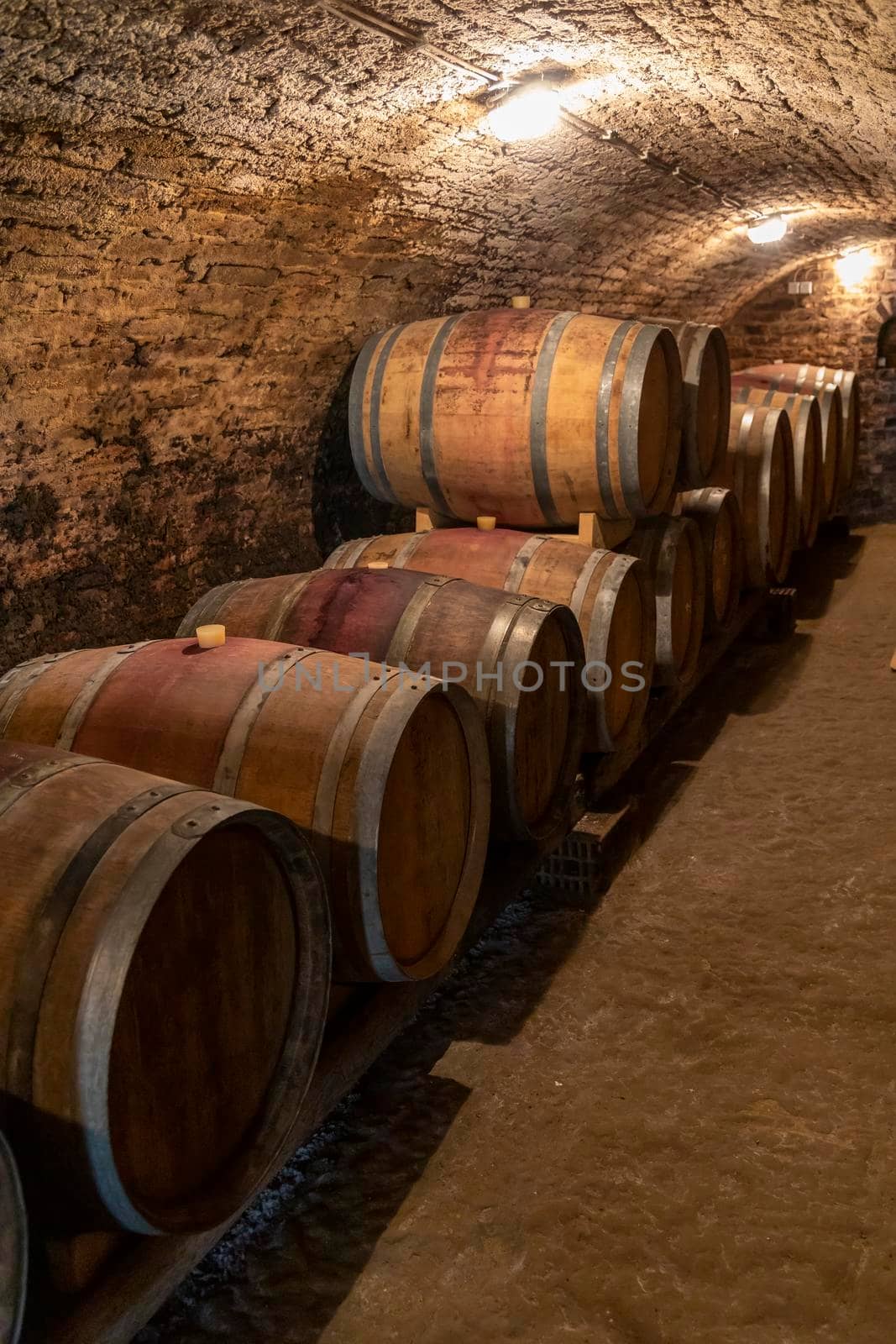 wine cellar with wooden barrels in Hajos, Southern Transdanubia, Hungary