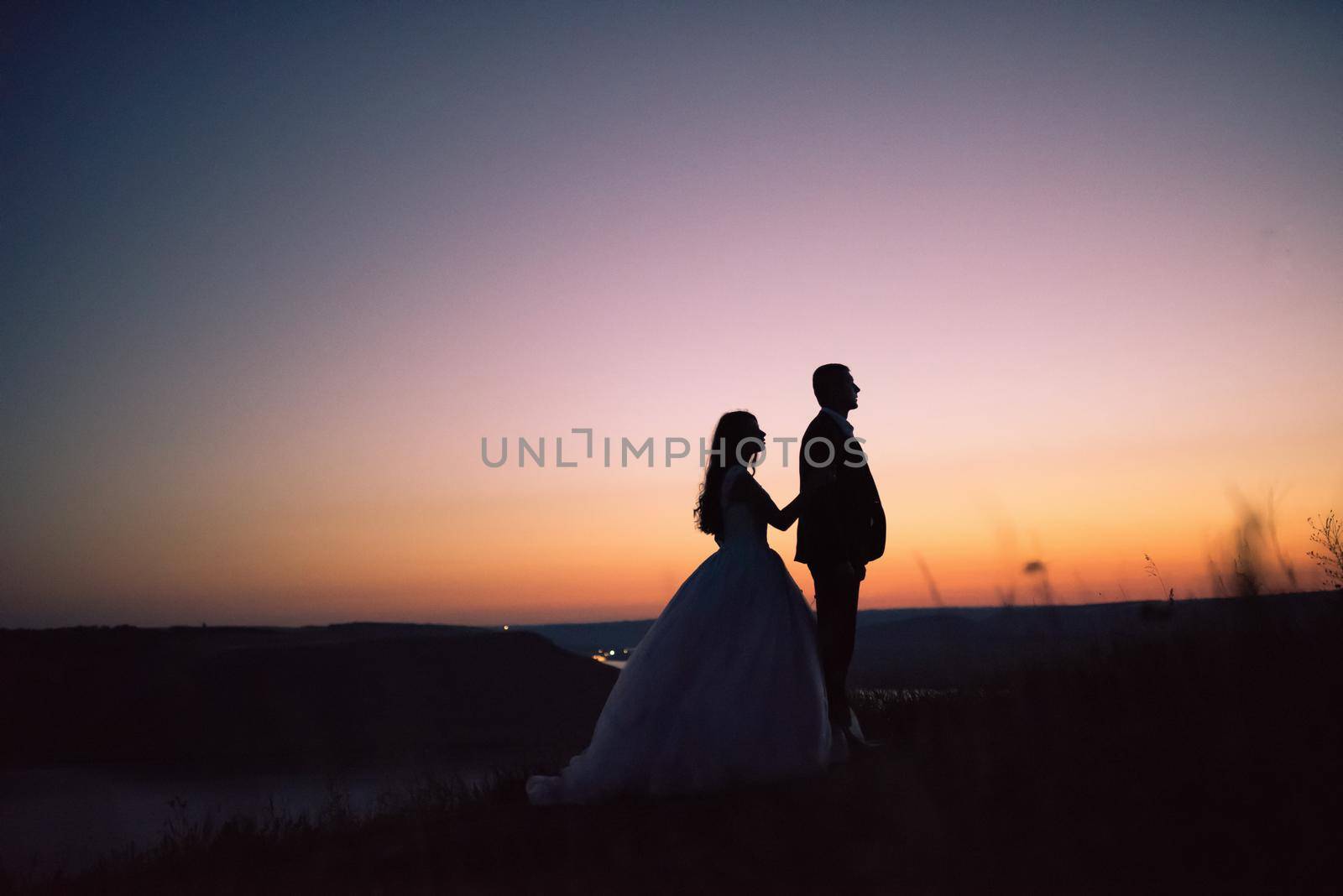 Silhouettes of bride and groom in wedding dress at night against backdrop of large lake and islands. Bakota, Ukraine