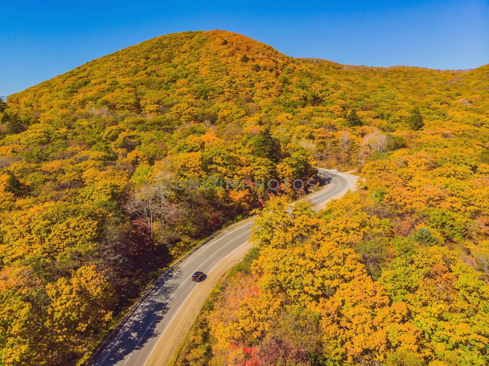 Aerial view of road in beautiful autumn forest at sunset. Beautiful landscape with empty rural road, trees with red and orange leaves. Highway through the park. Top view from flying drone. Nature.