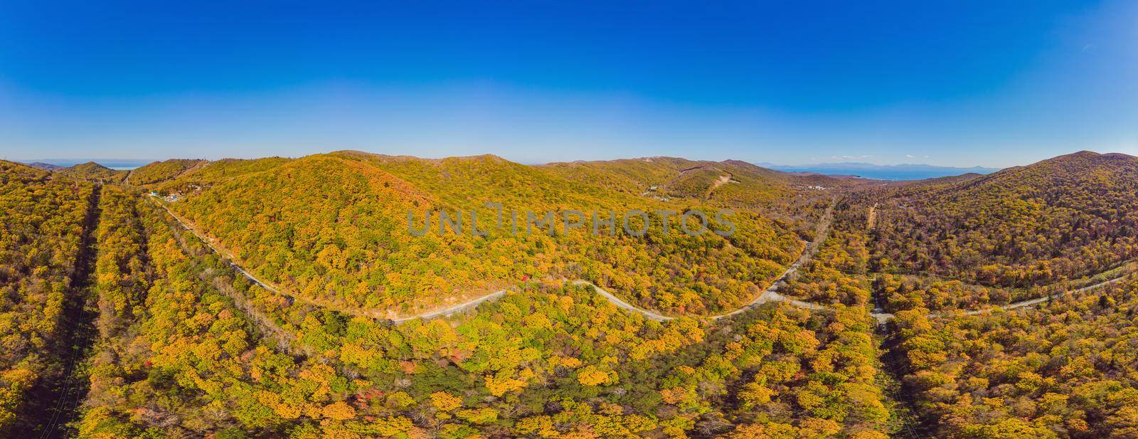 Aerial view of road in beautiful autumn forest at sunset. Beautiful landscape with empty rural road, trees with red and orange leaves. Highway through the park. Top view from flying drone. Nature by galitskaya