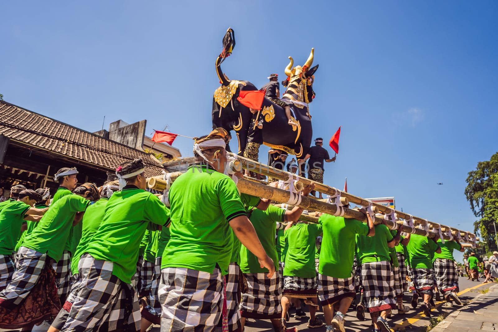 Ubud, Bali, Indonesia - April 22, 2019 : Royal cremation ceremony prepation. Balinese hindus religion procession. Bade and Lembu Black Bull symbol of transportation for the spirit to the heaven.