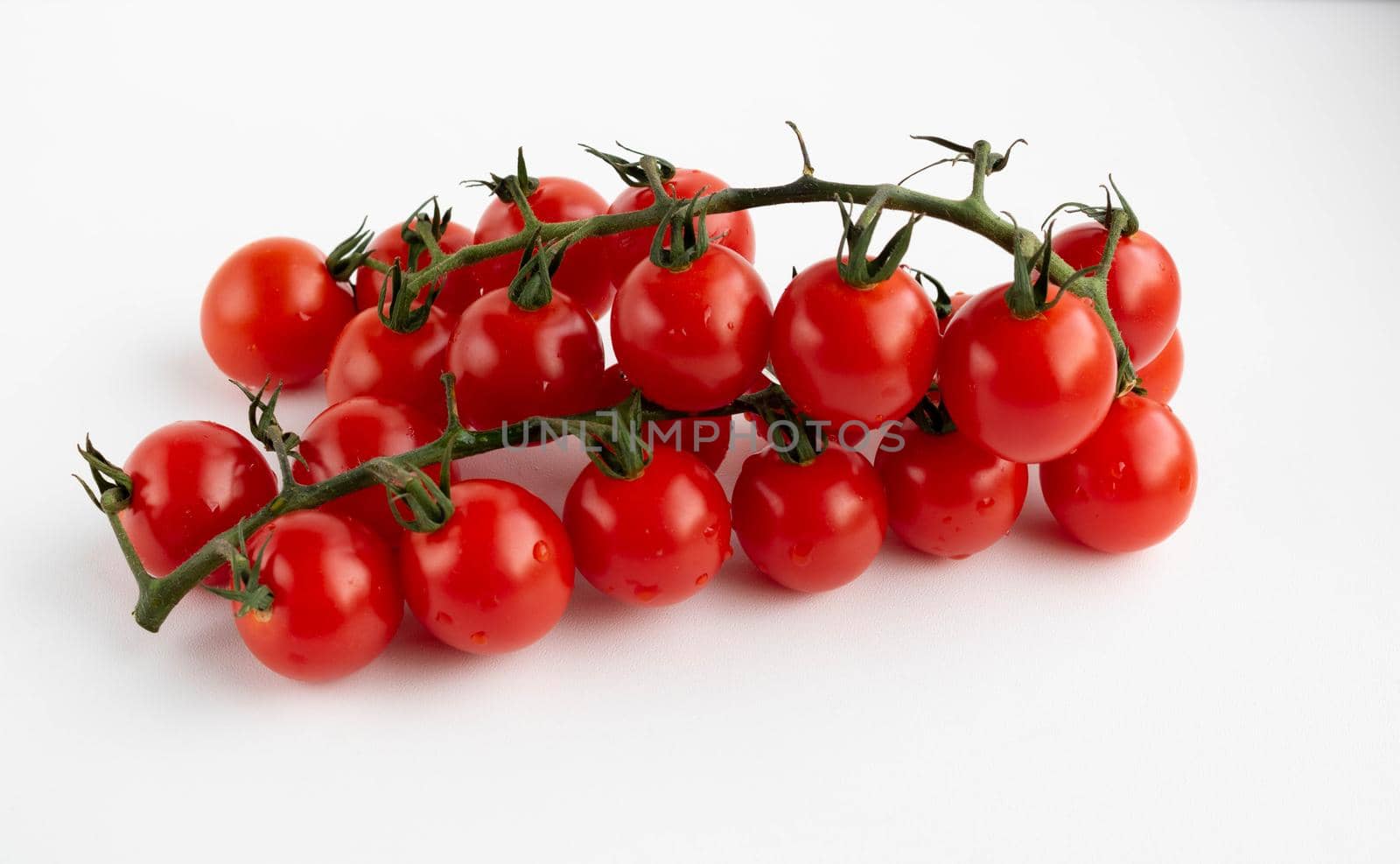 Cherry tomatoes on a branch, isolated on a white background. The view from the top. the concept of harvest. Space for your text by lapushka62