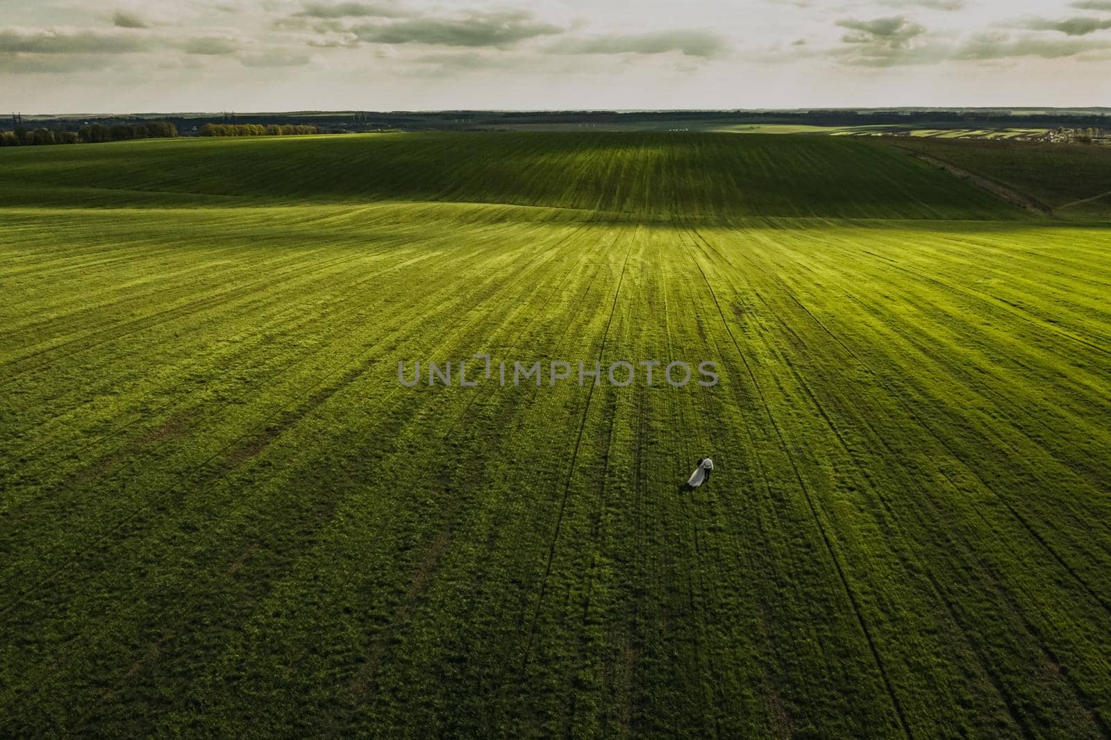Couple man and woman in a dress go on a meadow. green field from drone by AndriiDrachuk
