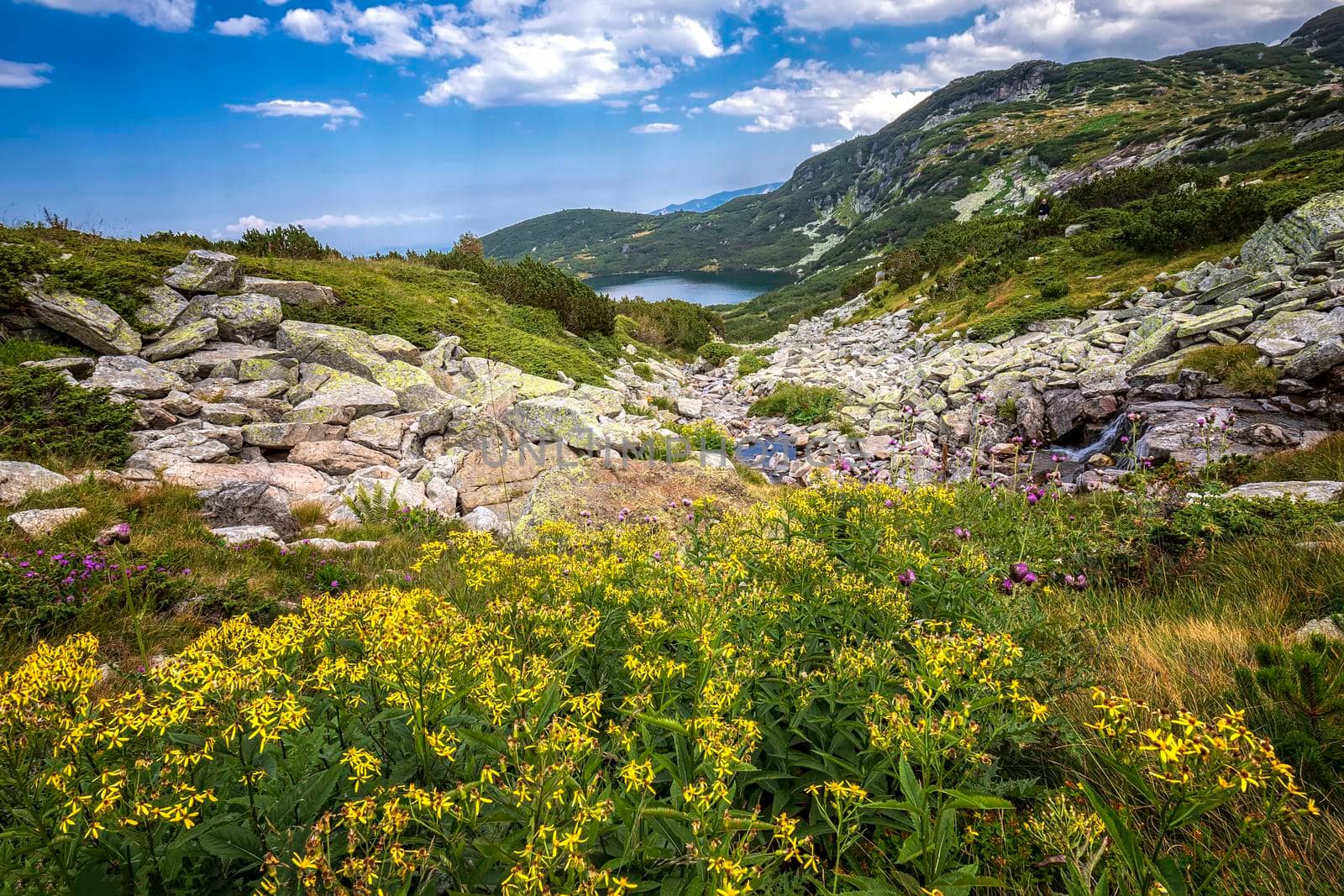 Scenic mountain landscape with yellow flowers in front, a lake, and rocks.Horizontal view