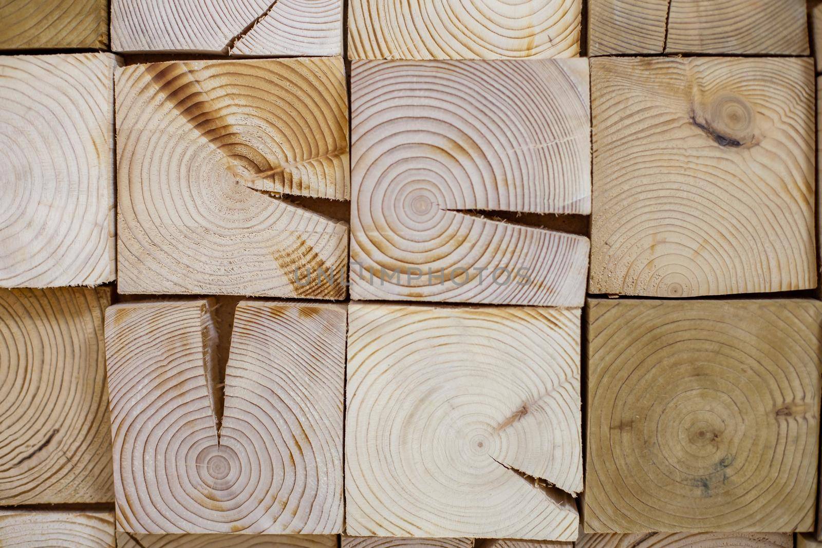 Texture of a cut square wood block. Wood square texture background