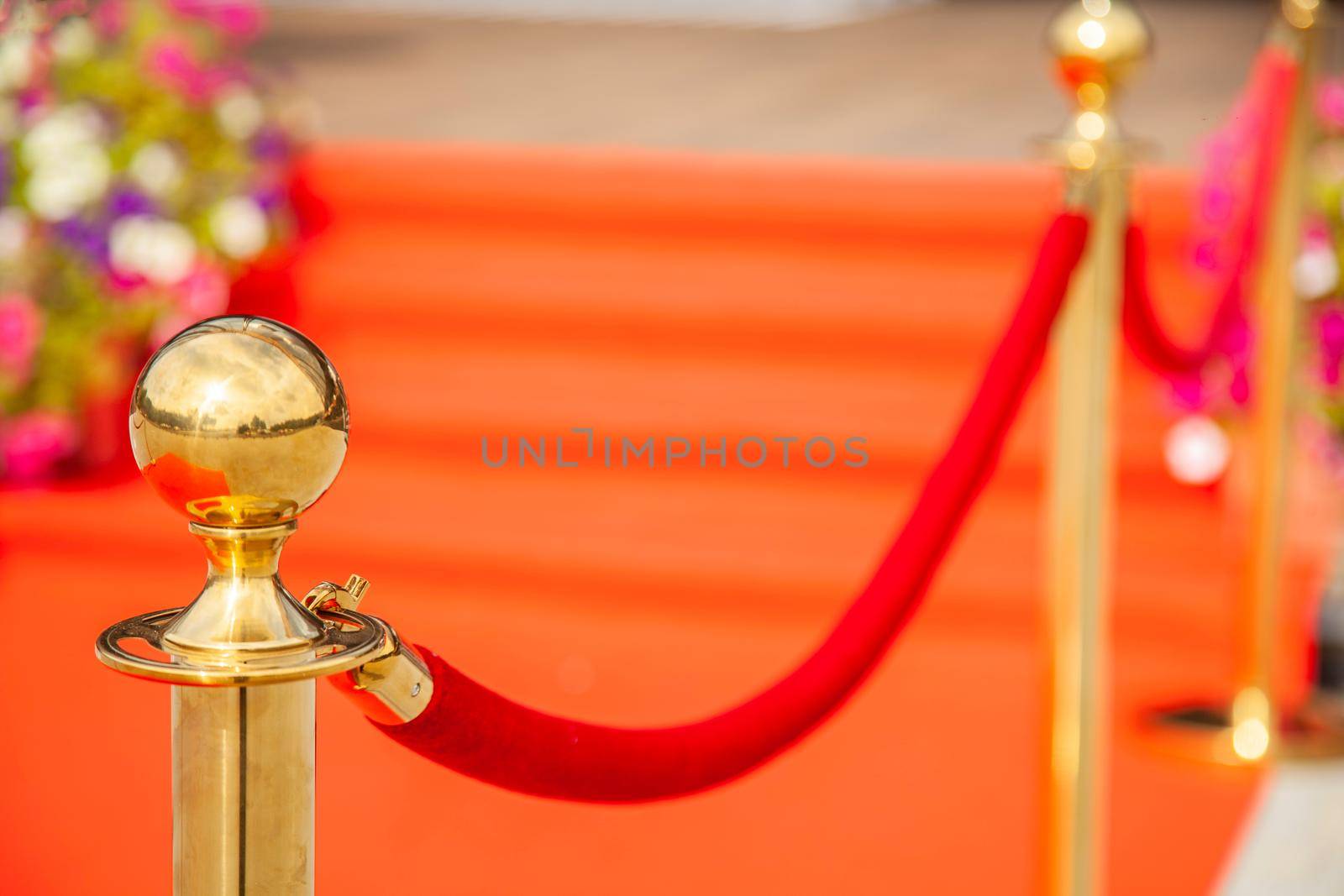 Golden bars guarding the red carpet.