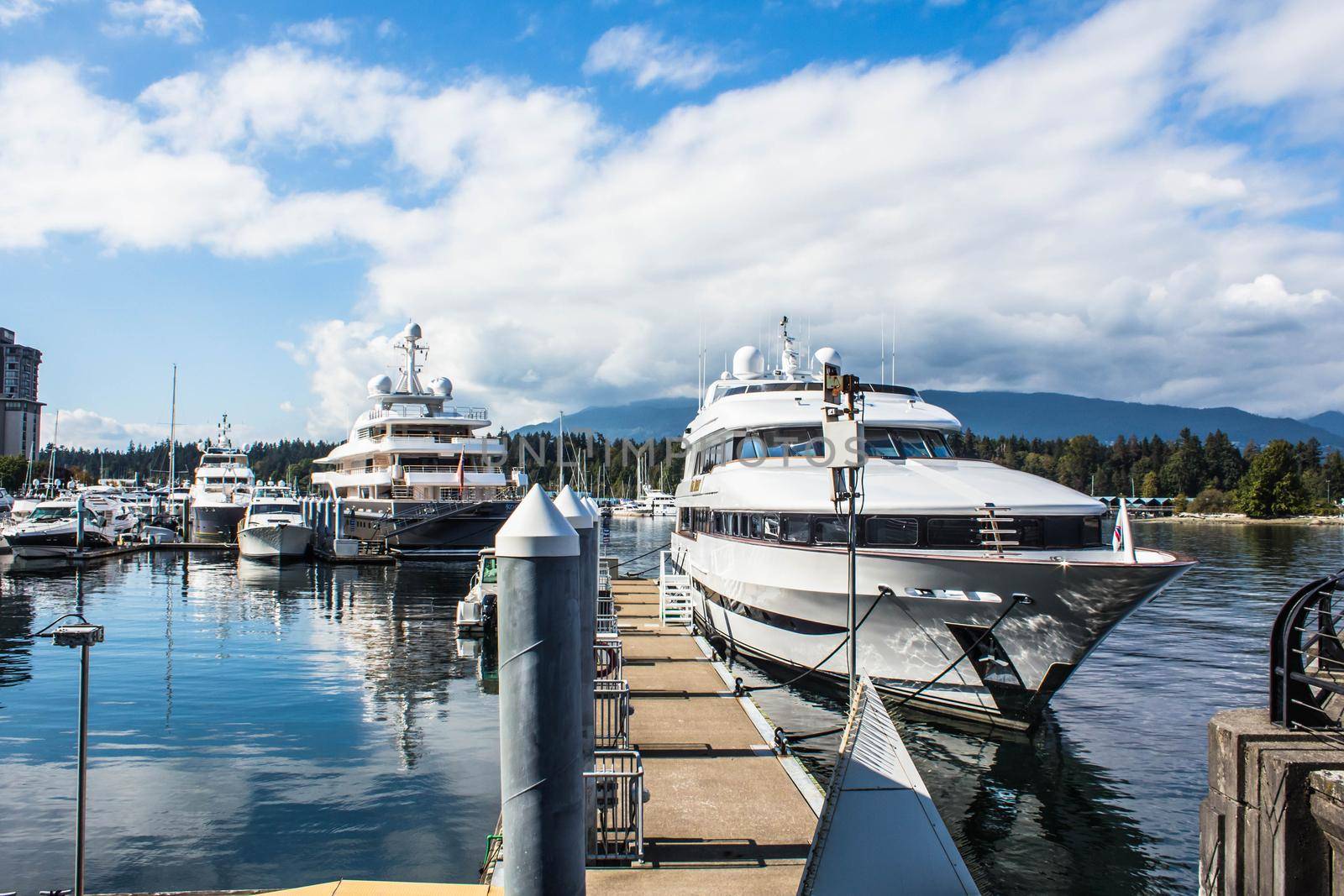 Many variety of yachts moored in a marina near Stanley park in Vancouver BC., Canada. by JuliaDorian