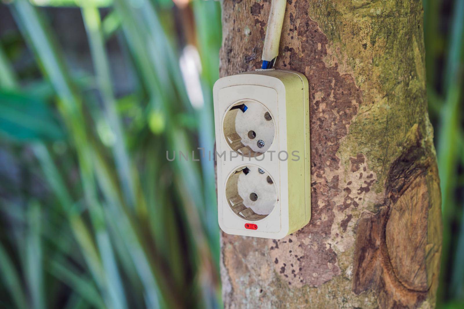 Green nature energy concept, electric socket on tree. Digital nomads concept.