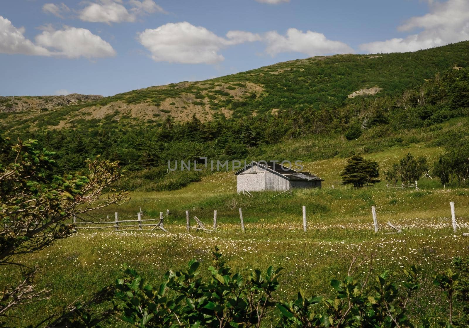 Newfoundland Country Family Barn and old fence