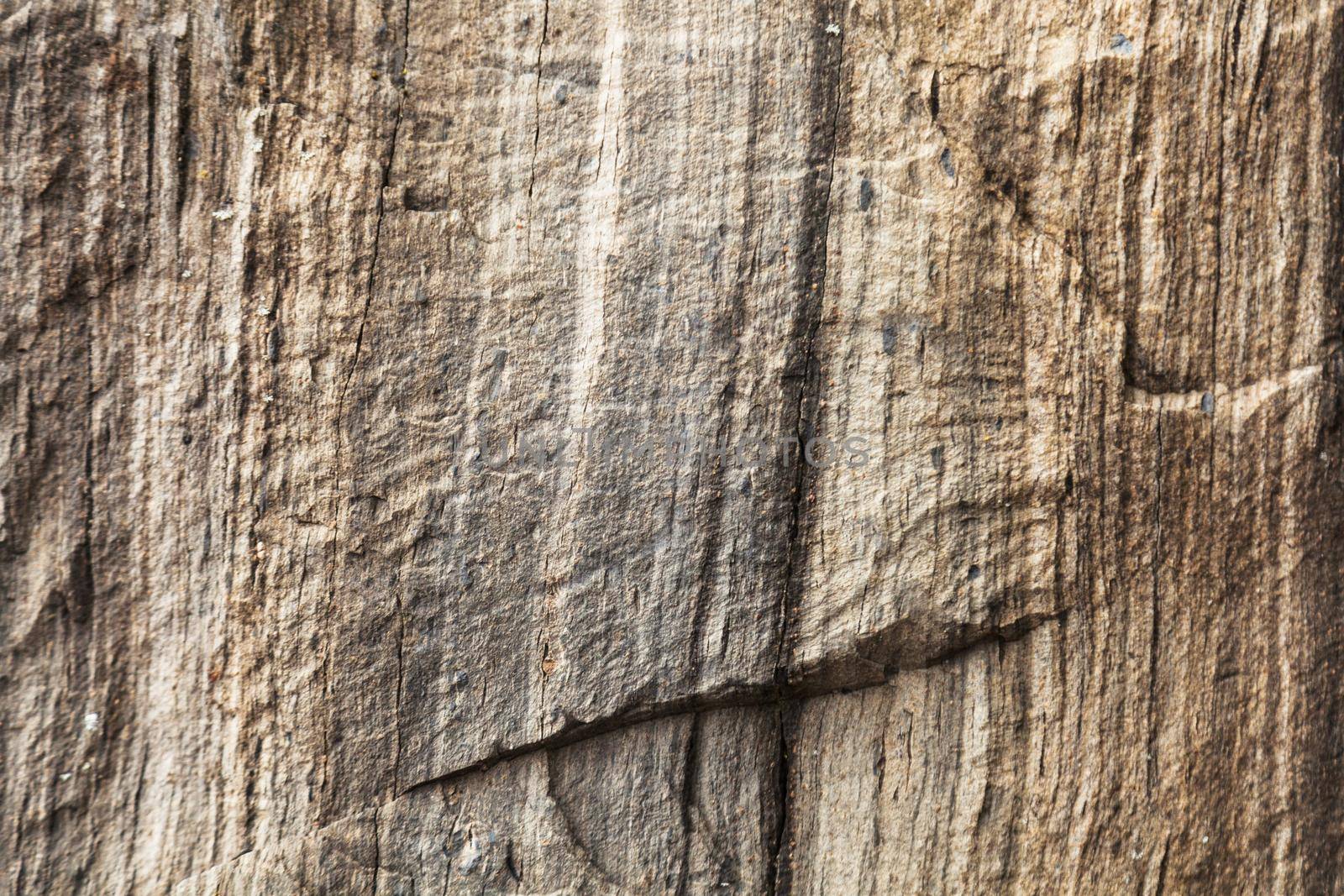 The texture of the rock stone is gray brown