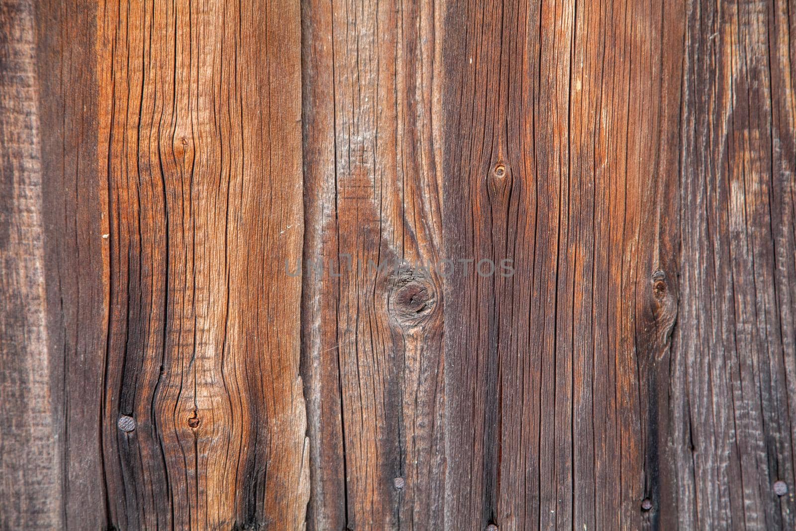 Texture of an old wooden board in brown color.