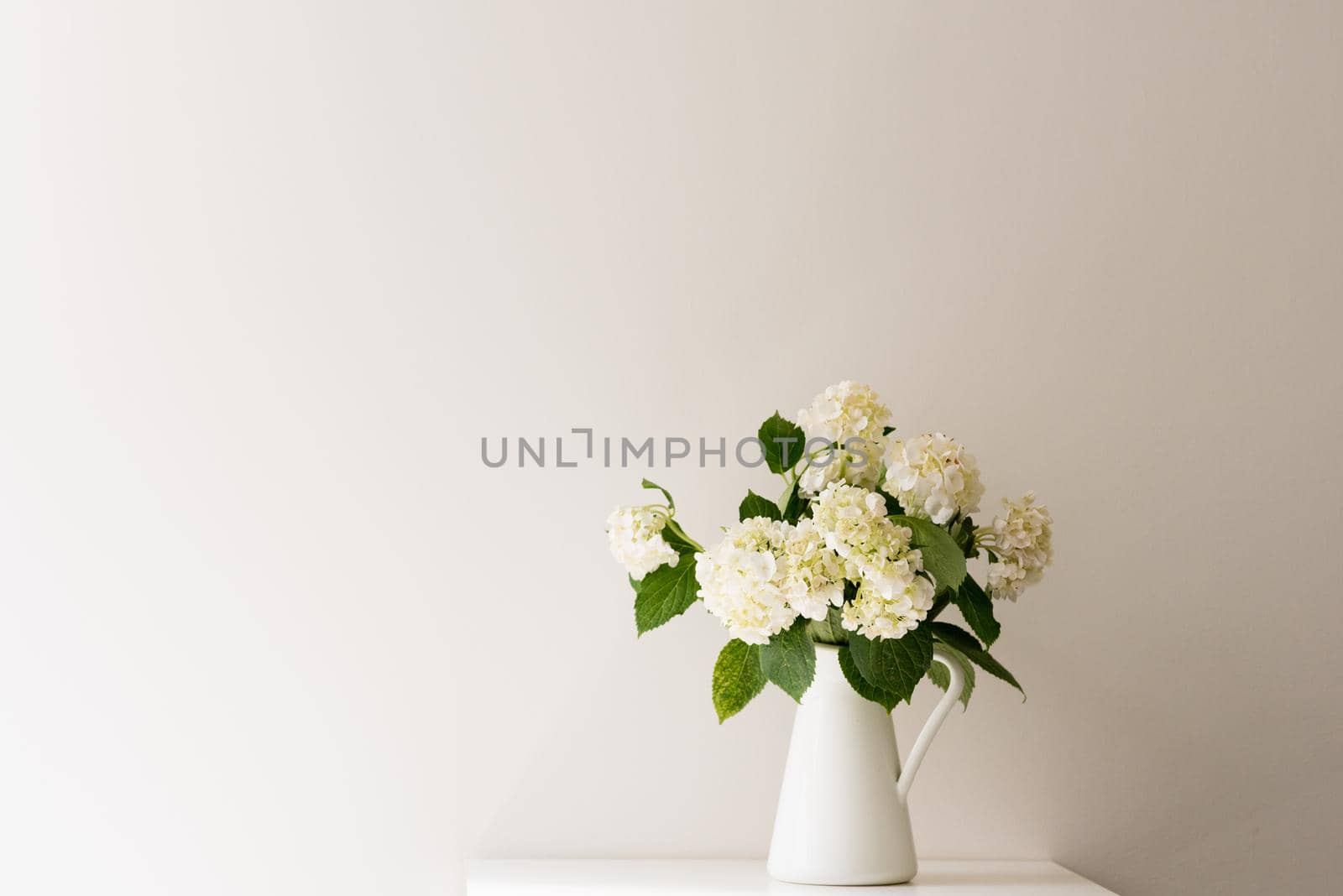 White hydrangeas in jug on table against white wall with copy space to left (selective focus)