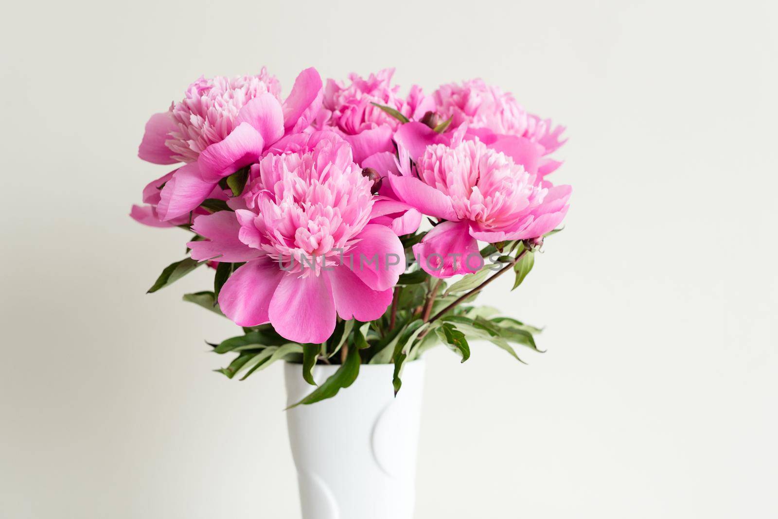 Close up of pink peonies in white vase against neutral background (selective focus)