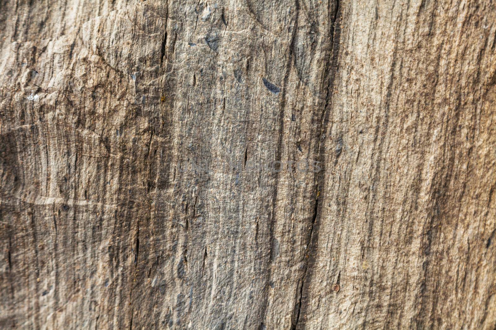 texture of a rock of a gray brown stone