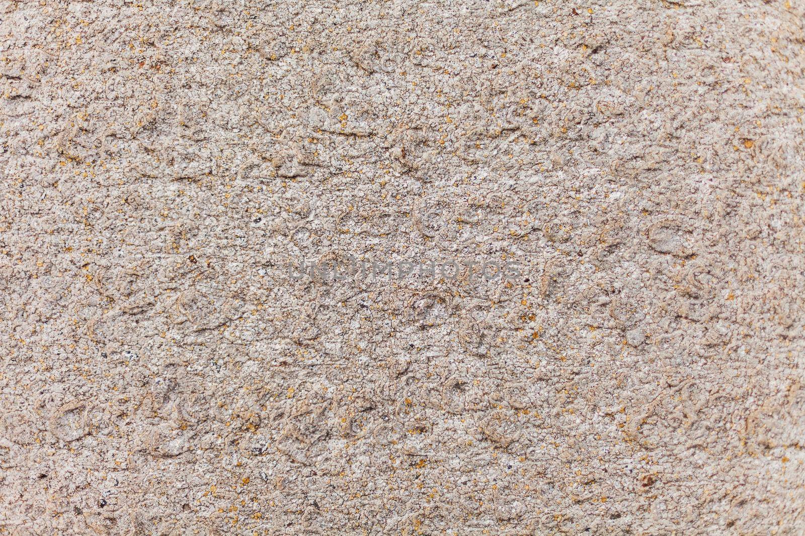 stone texture beige, yellow moss on stone.
