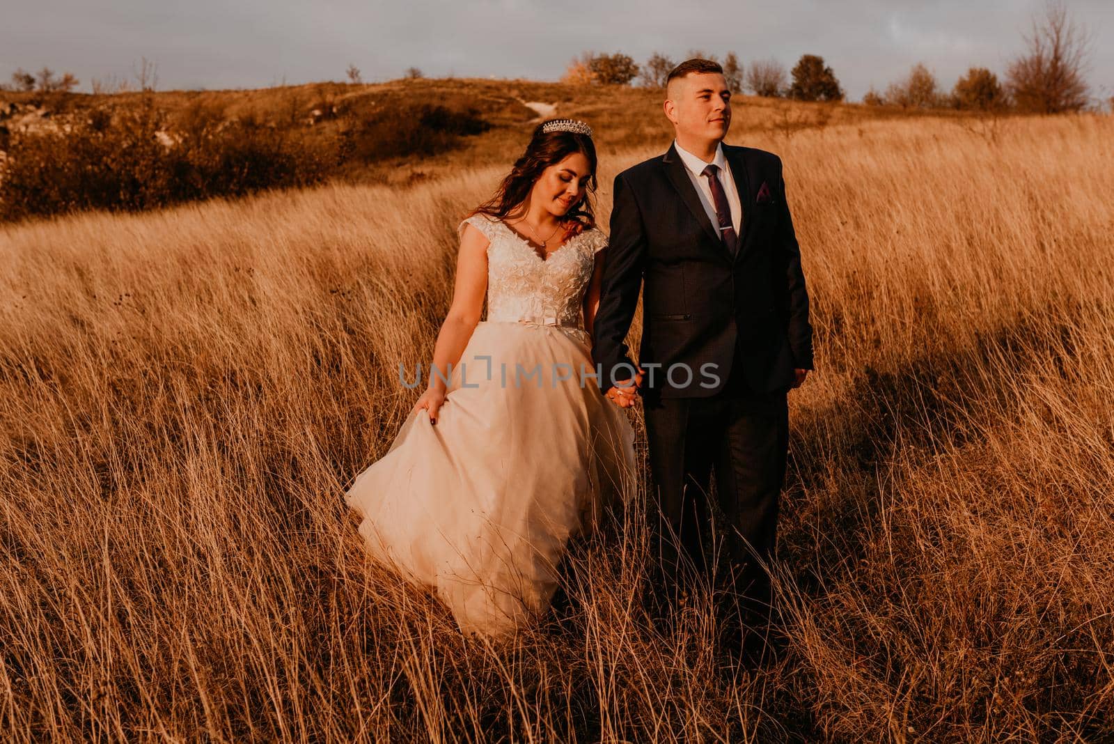 couple in love wedding newlyweds in a white dress and suit are walking on long grass in a field in summer. man and woman holding hands