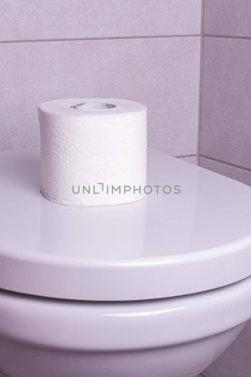 Toilet bowl with a roll of toilet paper. The concept of toilet paper affluence by bySergPo