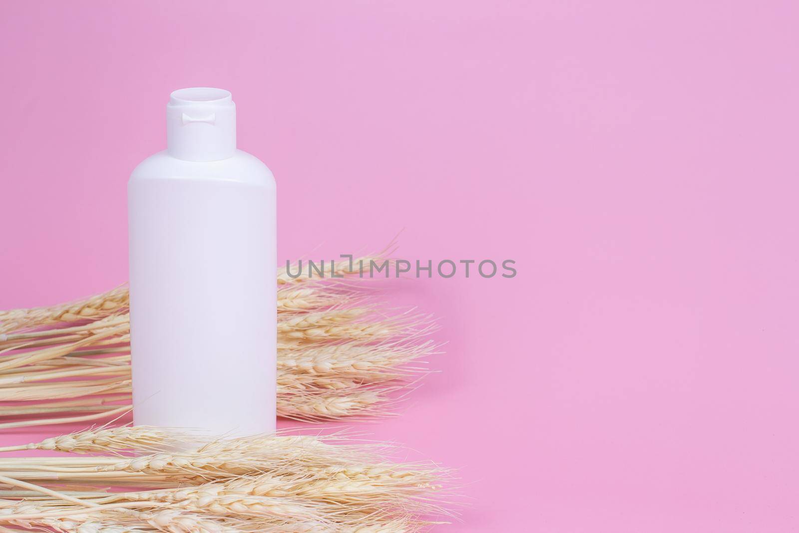 Blank cosmetics container and wheat ears on pink background. Cream or shampoo bottle mockup. by bySergPo