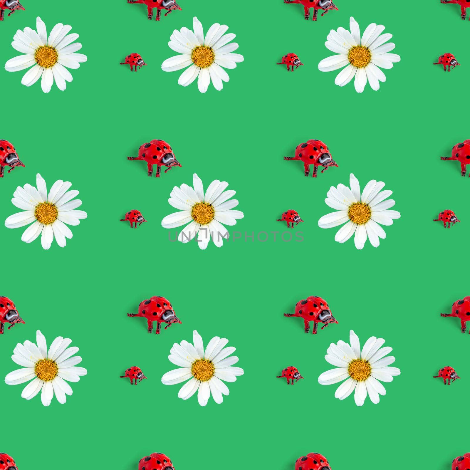 Seamless pattern of ladybug and chamomile flower on green background