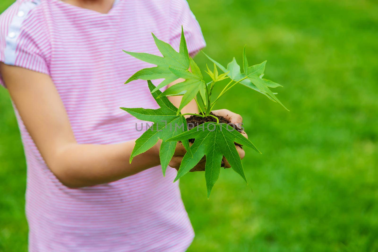 A child plants a plant in the garden. Selective focus.nature