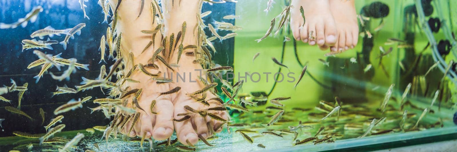 Mom and son at the fish spa. BANNER, LONG FORMAT