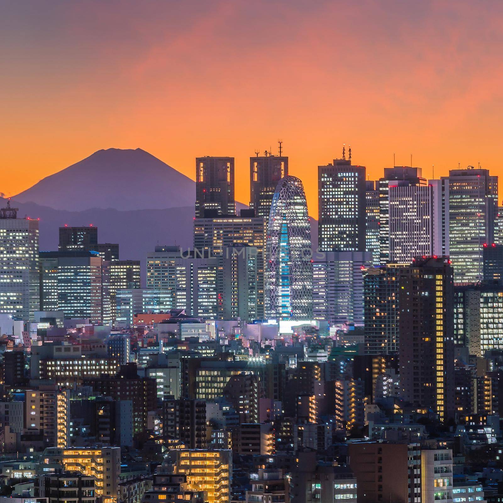 Tokyo skyline and Mountain fuji by f11photo