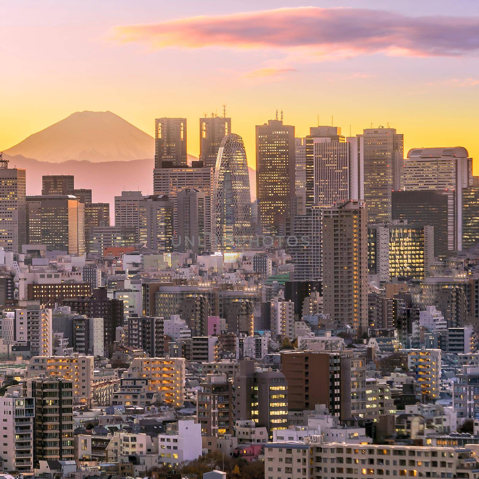 Tokyo skyline and Mountain fuji in Japan