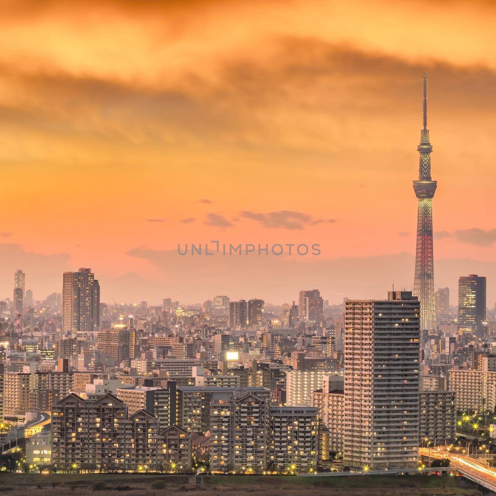 Tokyo city skyline at sunset  by f11photo