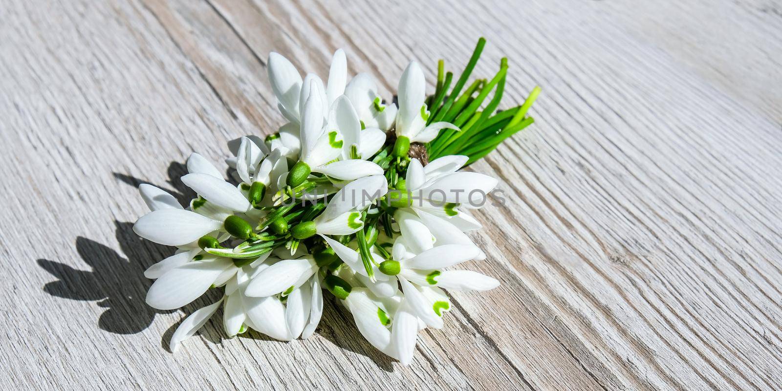 Bouquet of snowdrops on wooden background. Copy space. Holiday concept. Beautiful spring flowers. Springtime