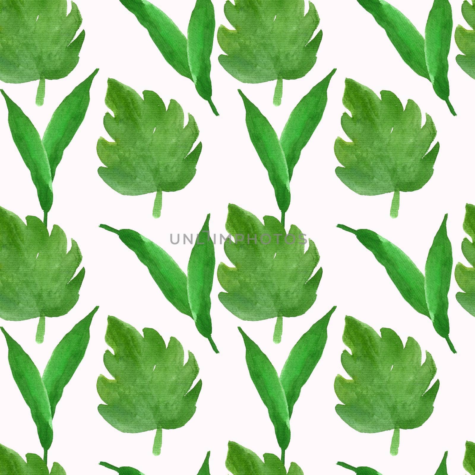 Seamless watercolor pattern of green leaves of monstera. Isolated image on a white one. Large carved leaves of tropical plants of Africa.