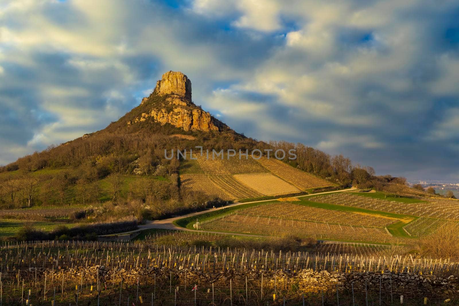 Rock of Solutre with vineyards, Burgundy, Solutre-Pouilly, France