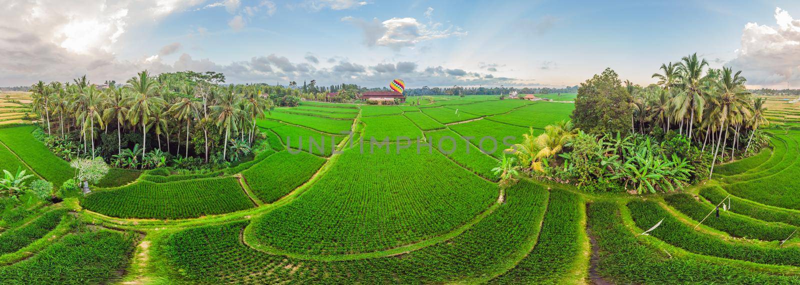 hot air balloon over the green paddy field. Composition of nature and blue sky background. Travel concept.