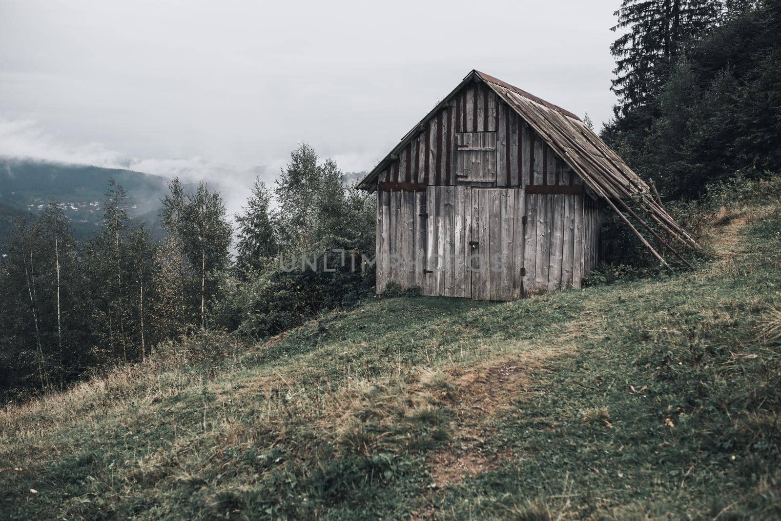 gray wooden house with boards in the Carpathian mountains. Yaremche. The most beautiful places in Ukraine. Tall spruce. fog over the forest.