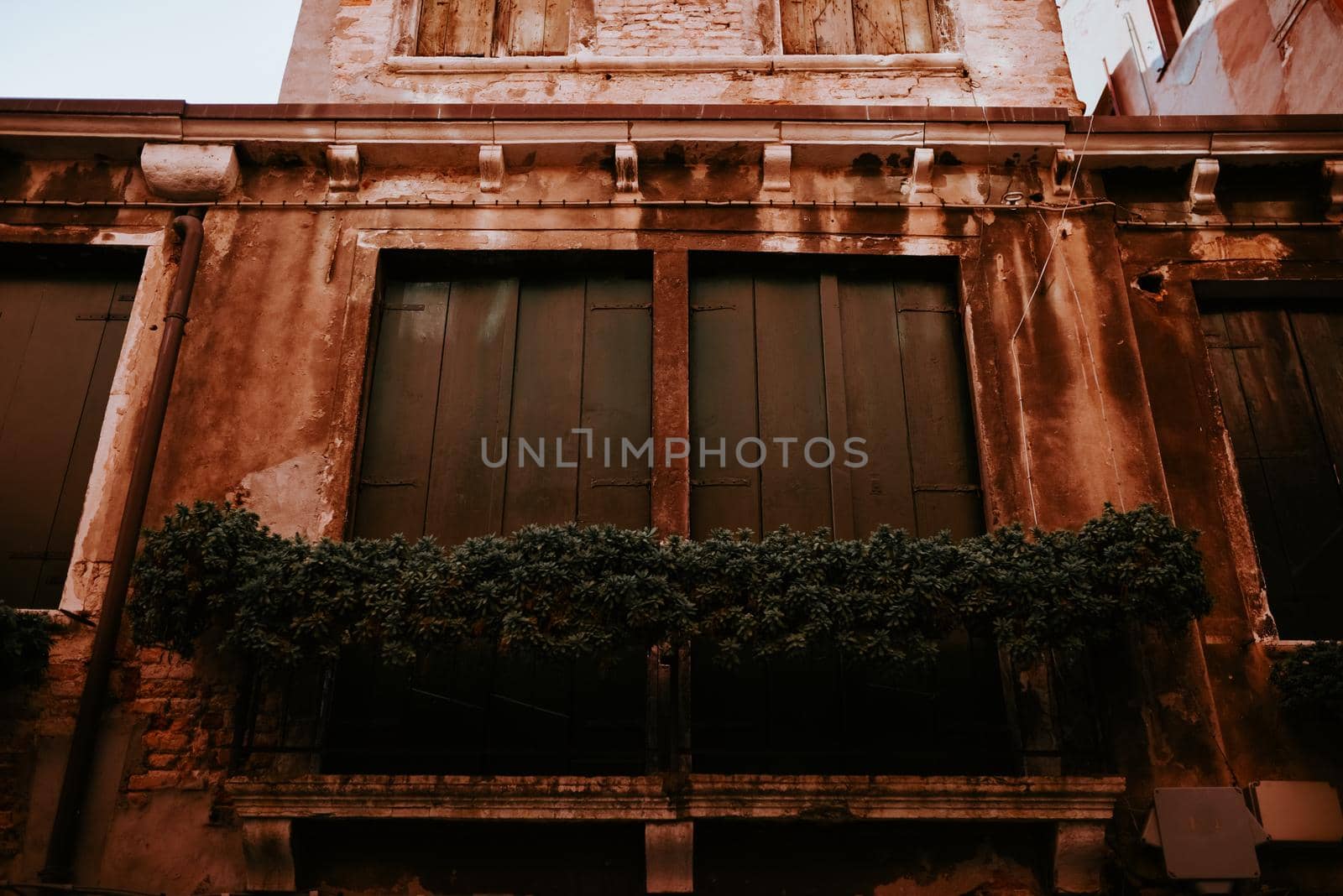 Closed brown wooden shutters in an old shabby orange building. Green dense flowerpots on the windowsill in the house. Vintage architectural masterpieces in Venice.